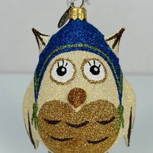 Pier 1 Owl Christmas Ornaments Glass Glittery Gold Holiday Decor Whimsical Gift